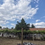 Къща в с. Велино, Област Шумен - 1532 кв.м за 40 €/кв.м - Снимка #1