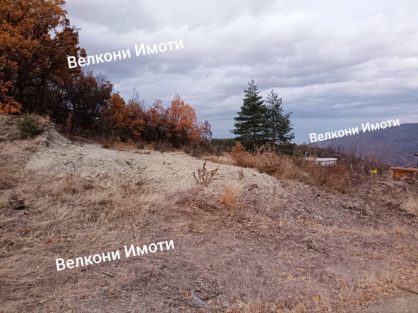 Парцел в с. Храбрино, Област Пловдив - 711 кв.м за 57 €/кв.м - Снимка #1