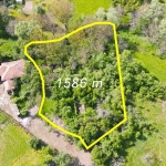 Парцел в с. Лазарци, Област Велико Търново - 1586 кв.м за 13 €/кв.м - Снимка #1