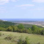 Парцел в с. Генерал Кантарджиево, Област Варна - 2331 кв.м за 5 €/кв.м - Снимка #1