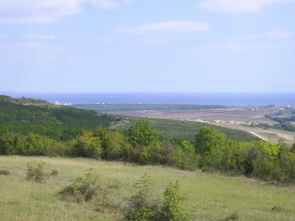 Парцел в с. Генерал Кантарджиево, Област Варна - 2331 кв.м за 5 €/кв.м - Снимка #1