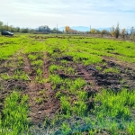 Земеделски имот в с. Конуш, Област Пловдив -  кв.м за 4080 €/дка - Снимка #1