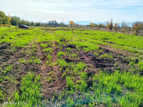 Земеделски имот в с. Конуш, Област Пловдив -  кв.м за 4080 €/дка - Снимка #1