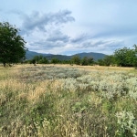 Парцел в Казанлък - 1919 кв.м за 8 €/кв.м - Снимка #1