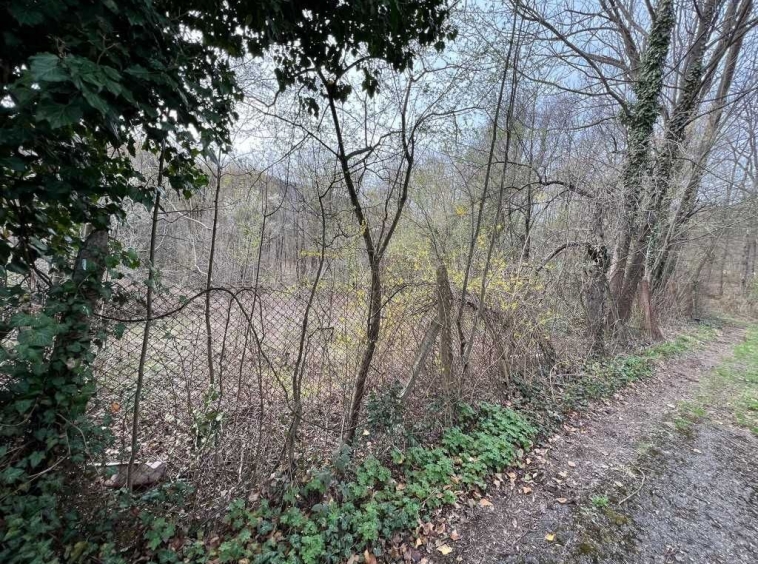 Парцел в Габрово, Велчевци - 1597 кв.м за 16 €/кв.м - Снимка #1