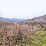 Парцел в с. Малки чифлик, Област Велико Търново - 1801 кв.м за 14 €/кв.м - Снимка #1