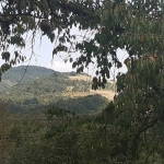 Парцел в с. Кметовци, Област Габрово - 2297 кв.м за 12 €/кв.м - Снимка #1