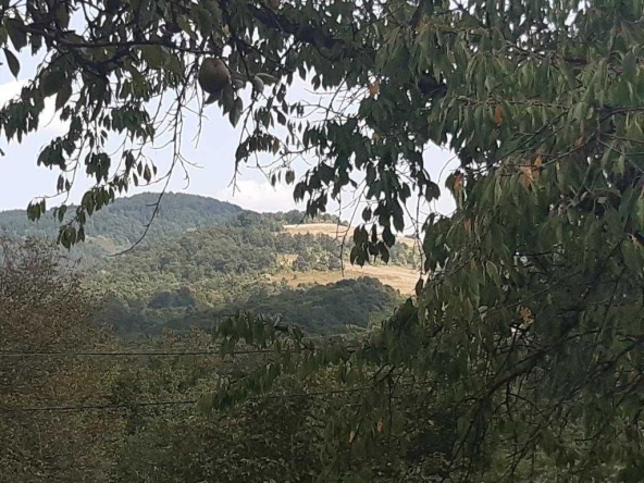 Парцел в с. Кметовци, Област Габрово - 2297 кв.м за 12 €/кв.м - Снимка #1