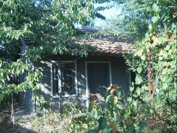 Къща в с. Свобода, Област Добрич - 40 кв.м за 217 €/кв.м - Снимка #1