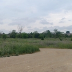 Парцел в с. Нова Черна, Област Силистра - 4860 кв.м за 9 €/кв.м - Снимка #1