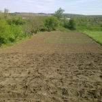 Земеделски имот в Разград, Абритус -  кв.м за 3060 €/дка - Снимка #1