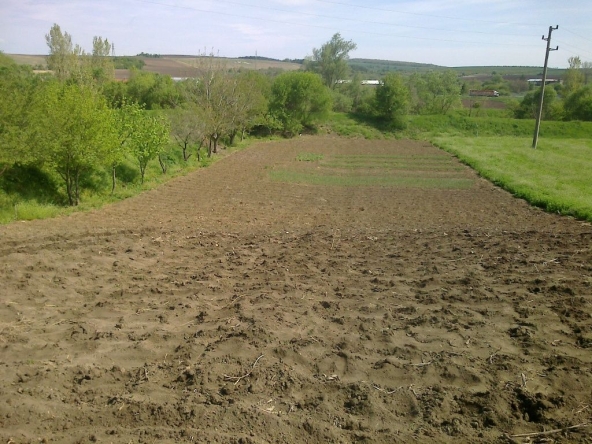 Земеделски имот в Разград, Абритус -  кв.м за 3060 €/дка - Снимка #1