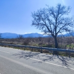 Земеделски имот в с. Червен, Област Русе -  кв.м за 4 €/дка - Снимка #1