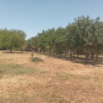 Парцел в с. Белоградец, Област Варна - 120 кв.м за 128 €/кв.м - Снимка #1