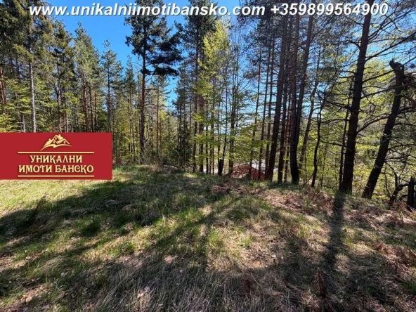 Парцел в Разлог - 600 кв.м за 32 €/кв.м - Снимка #1