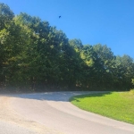 Земеделски имот в с. Рачевци, Област Габрово -  кв.м за 1046 €/дка - Снимка #1