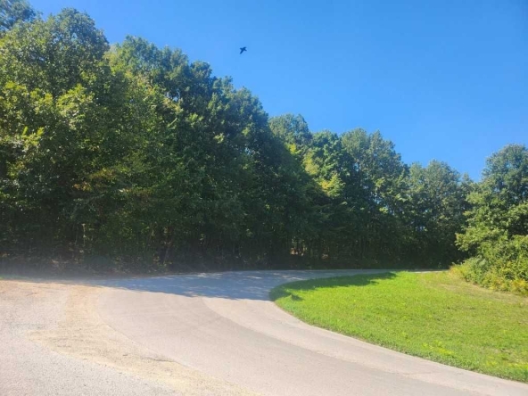 Земеделски имот в с. Рачевци, Област Габрово -  кв.м за 1046 €/дка - Снимка #1