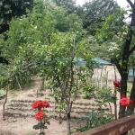 Парцел в Габрово, Тлъчници - 501 кв.м за 22 €/кв.м - Снимка #1