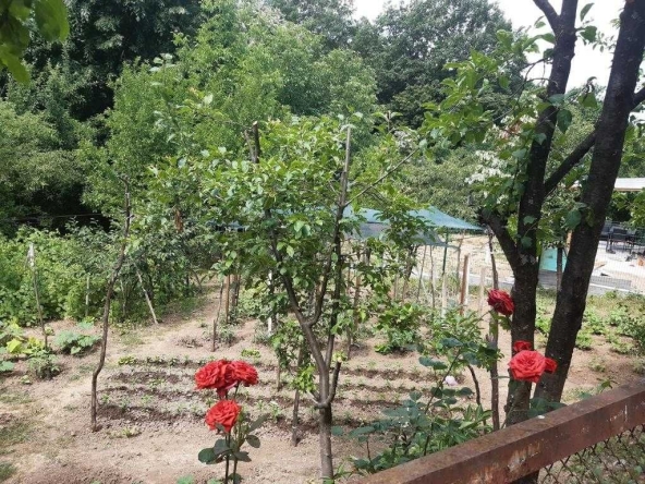 Парцел в Габрово, Тлъчници - 501 кв.м за 22 €/кв.м - Снимка #1