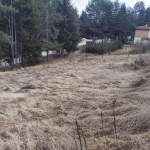 Земеделски имот в Сърница -  кв.м за 45 €/дка - Снимка #1