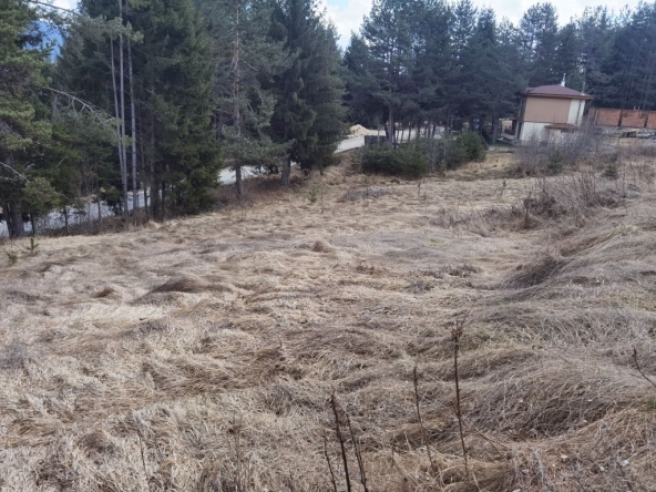 Земеделски имот в Сърница -  кв.м за 45 €/дка - Снимка #1