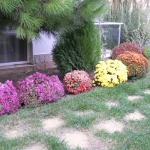 Дава се под наем Едностаен апартамент в Свети Влас - 46 кв.м за 250 € - Снимка #1