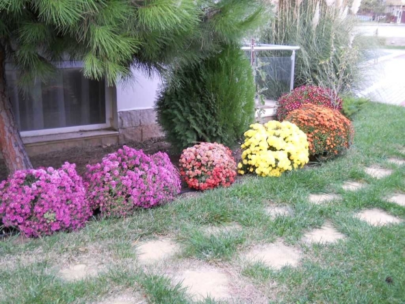 Дава се под наем Едностаен апартамент в Свети Влас - 46 кв.м за 250 € - Снимка #1