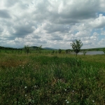 Земеделски имот в с. Сусам, Област Хасково -  кв.м за 702 €/дка - Снимка #1