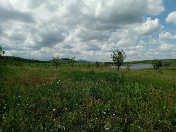 Земеделски имот в с. Сусам, Област Хасково -  кв.м за 702 €/дка - Снимка #1