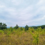 Парцел в с. Керека, Област Габрово - 750 кв.м за 47 €/кв.м - Снимка #1