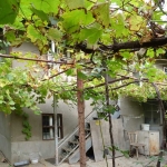 Къща в с. Беляковец, Област Велико Търново - 65 кв.м за 1179 €/кв.м - Снимка #1