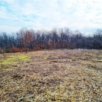 Парцел в с. Ново село, Област Велико Търново - 2000 кв.м за 23 €/кв.м - Снимка #1