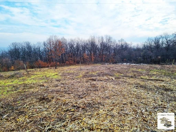 Парцел в с. Ново село, Област Велико Търново - 2000 кв.м за 23 €/кв.м - Снимка #1