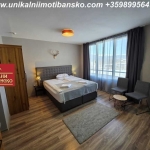 Едностаен апартамент в Банско - 38 кв.м за 1106 €/кв.м - Снимка #1