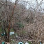 Къща в с. Горно Павликене, Област Ловеч - 373 кв.м за 41 €/кв.м - Снимка #1