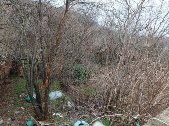 Къща в с. Горно Павликене, Област Ловеч - 373 кв.м за 41 €/кв.м - Снимка #1