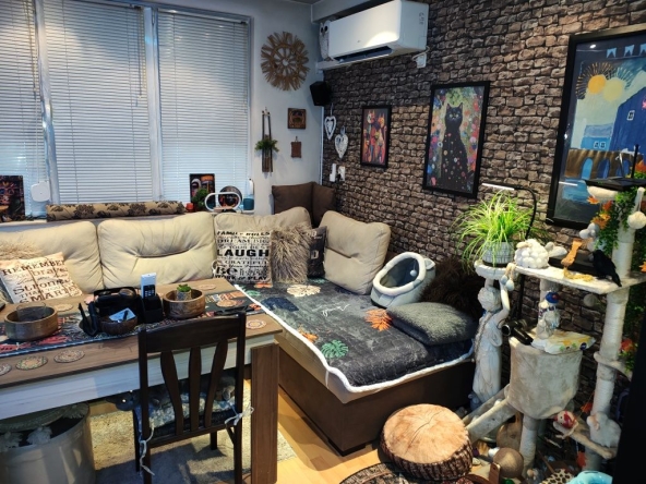 Двустаен апартамент в Димитровград - 55 кв.м за 835 €/кв.м - Снимка #1