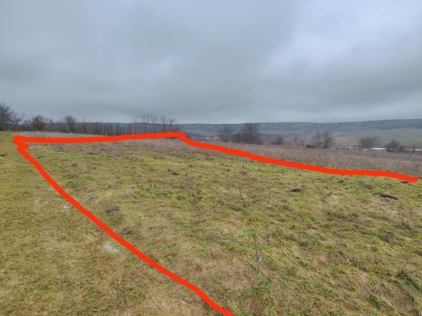 Парцел в с. Ягнило, Област Варна - 1550 кв.м за 7 €/кв.м - Снимка #1