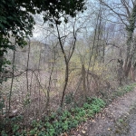 Парцел в Габрово, Велчевци - 1597 кв.м за 16 €/кв.м - Снимка #1