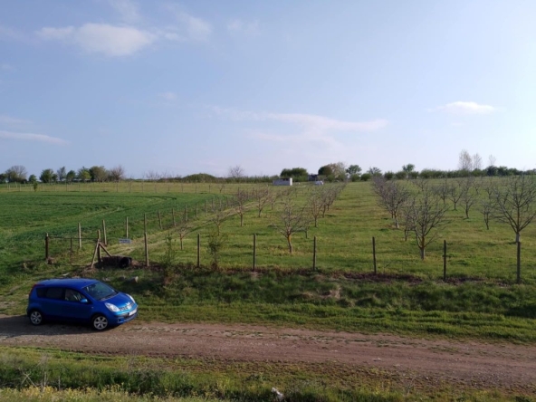 Земеделски имот в Болярово -  кв.м за 2354 €/дка - Снимка #1