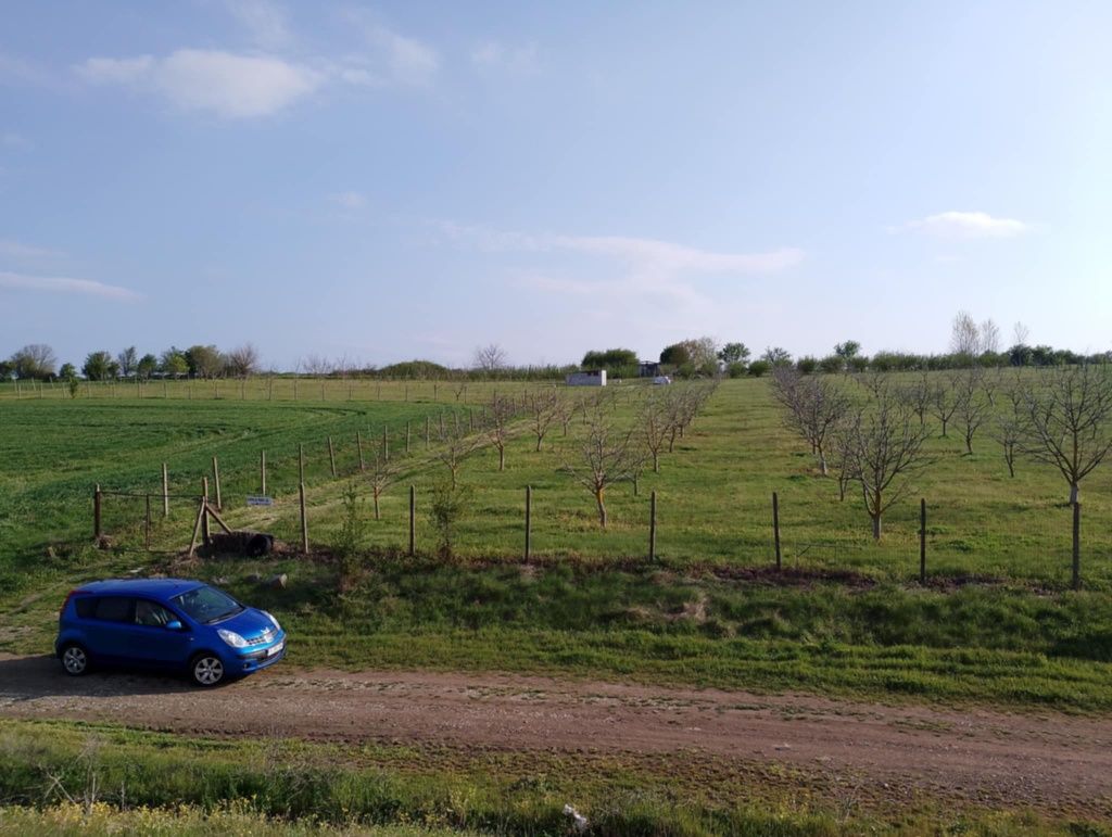 Земеделски имот в Болярово -  кв.м за 2354 €/дка - Снимка #1