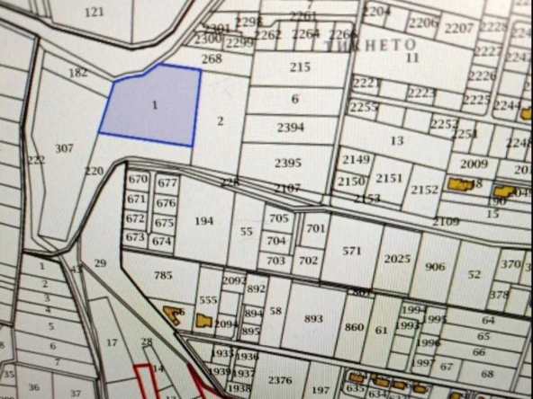 Парцел в с. Белащица, Област Пловдив - 9000 кв.м за 36 €/кв.м - Снимка #1