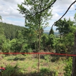 Парцел в Банкя - 750 кв.м за 60 €/кв.м - Снимка #1