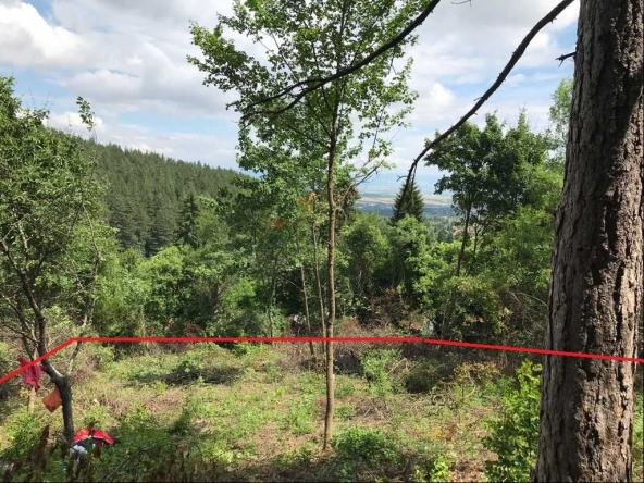 Парцел в Банкя - 750 кв.м за 60 €/кв.м - Снимка #1