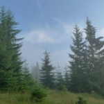 Парцел в Сливен, в.з. Сливен - 960 кв.м за 103 €/кв.м - Снимка #1