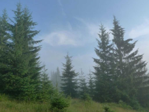 Парцел в Сливен, в.з. Сливен - 960 кв.м за 103 €/кв.м - Снимка #1