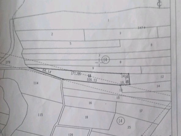 Земеделски имот в с. Кичево, Област Варна -  кв.м за 15000 €/дка - Снимка #1