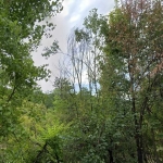 Земеделски имот в с. Въглевци, Област Велико Търново -  кв.м за 984 €/дка - Снимка #1