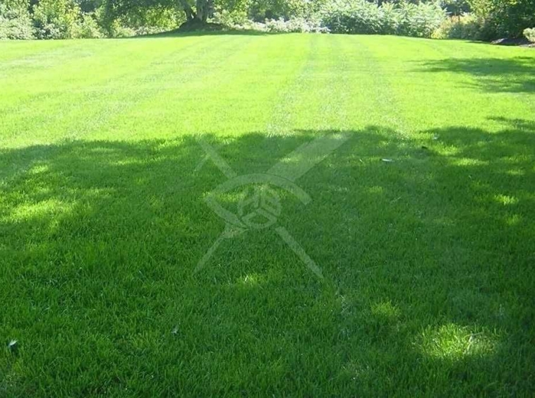 Парцел в Асеновград - 630 кв.м за 101 €/кв.м - Снимка #1