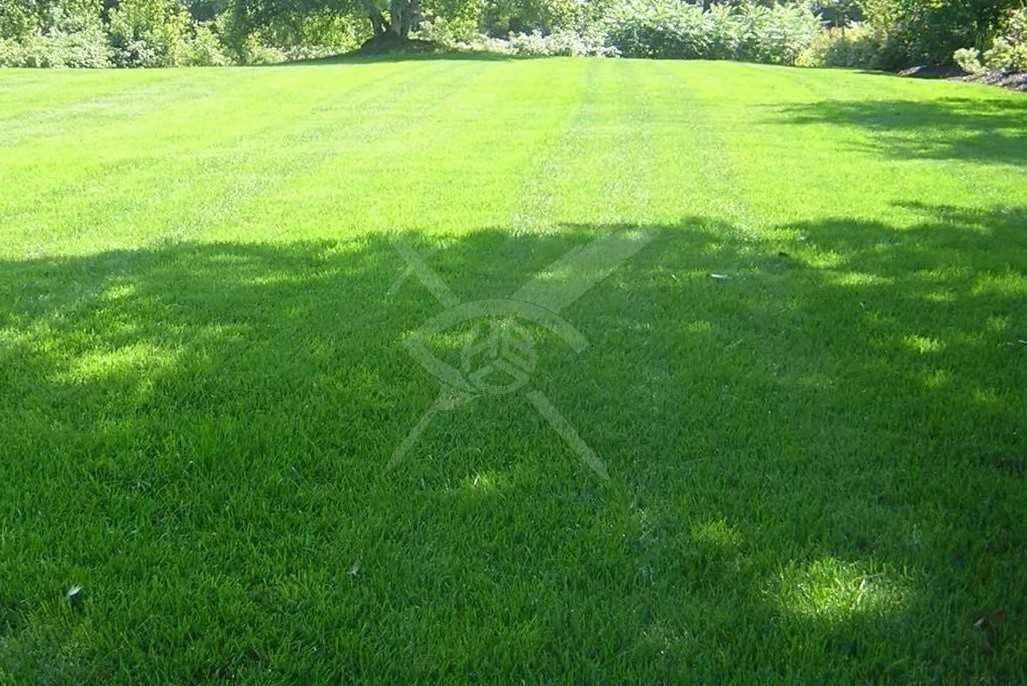 Парцел в Асеновград - 630 кв.м за 101 €/кв.м - Снимка #1